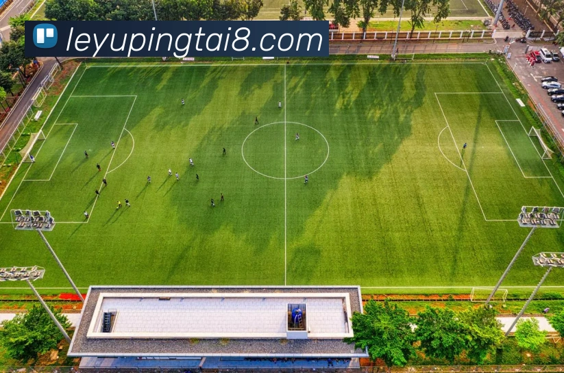 乐鱼平台品牌故事