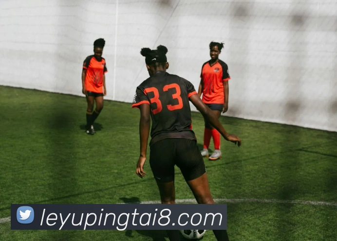 乐鱼平台服务体系